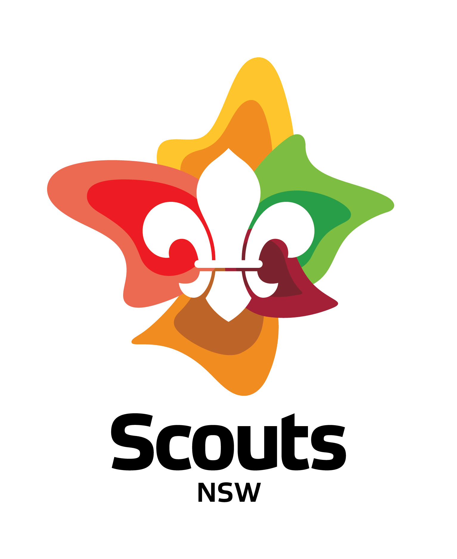 Scouts NSW Term 1 and Term 2 Fee